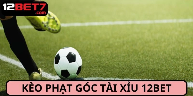 Cược Tài Xỉu cực lôi cuốn và thú vị