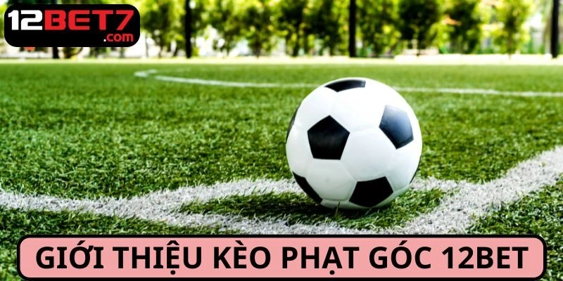 Giới thiệu dữ liệu sơ lược về kèo phạt góc